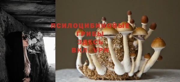 таблы Кукмор