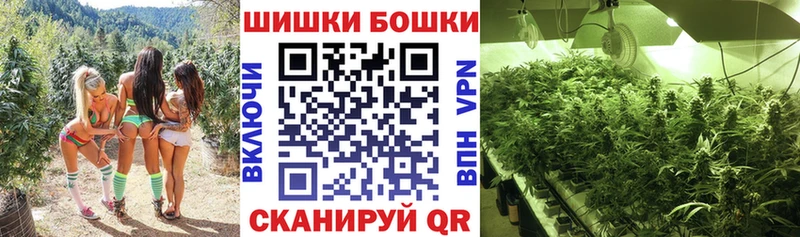 Марихуана OG Kush  Новошахтинск 